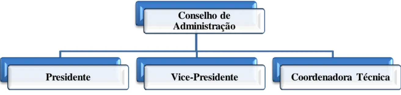 Figura 8 - Conselho de Administração 