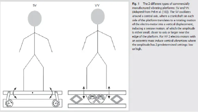 Figure 4. The 2 different types of vibration exercise 