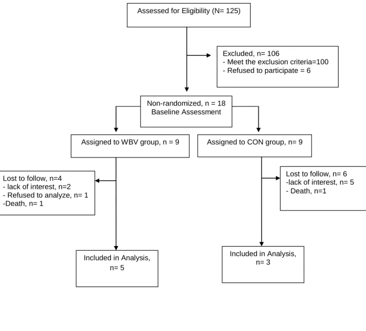 Figure 5. Flow chart of participants throughout the study 
