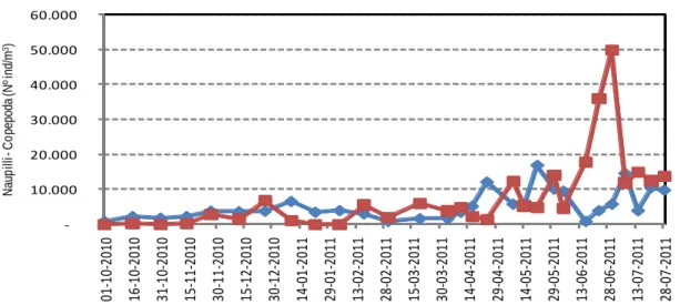 Figura 12. Relação na  variação observada de copepoda e naupilli  para as datas entre 01/10/2010 e  8/07/2011 