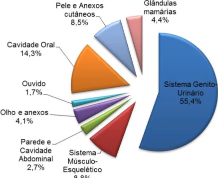 Gráfico 1. Gráfico representativo da casuística no serviço de cirurgia durante os 6 meses de  estágio no Hospital Veterinário do Porto