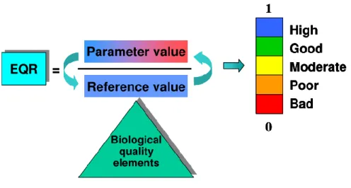 Figura 2-  Representação gráfica do conceito de Rácio de Qualidade Ecológica (Bund et al