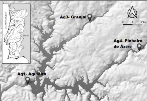 Figura 3- Mapa representativo da albufeira da Aguieira com os respetivos pontos de amostragem.