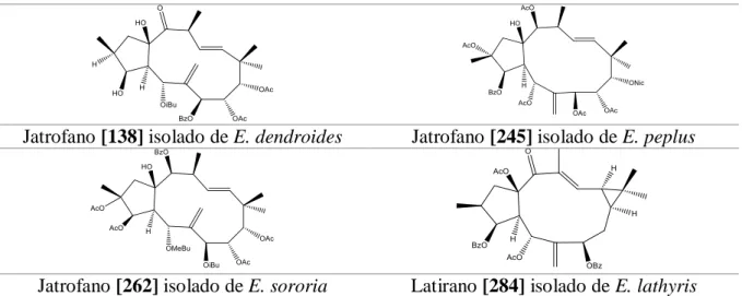 Figura 9. Diterpenos promissores com atividade anti-viral 
