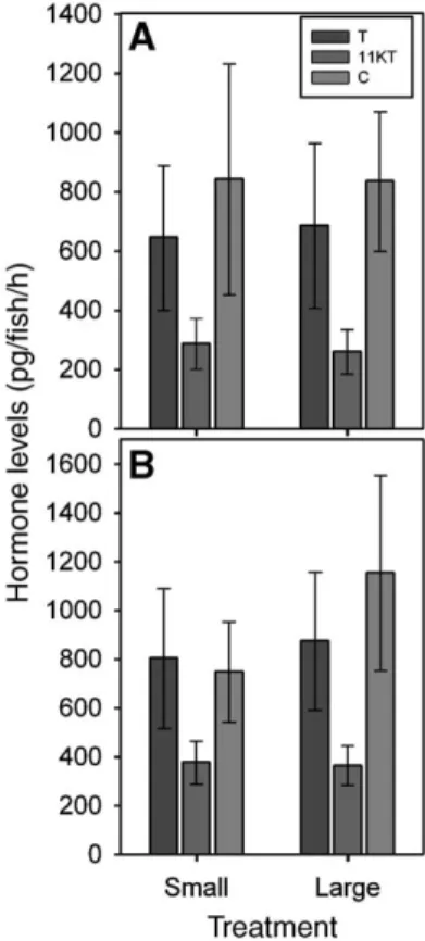 Fig. 4. Hormone levels did not depend on breeding status, comparing helper males with the single breeder males for T (A), 11-KT (B) and F (C)