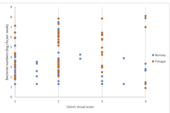 Fig. 4. Direct visual score of surface (A) and visual score of swab (B) (scales from 1 (clean) to 4 (dirty)