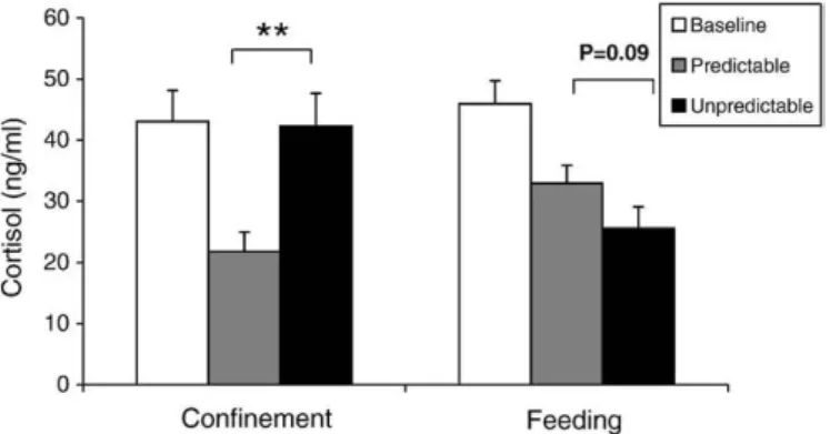 Fig. 3. Proportion of time (%) spent in different behavioural patterns during the feeding event signalling