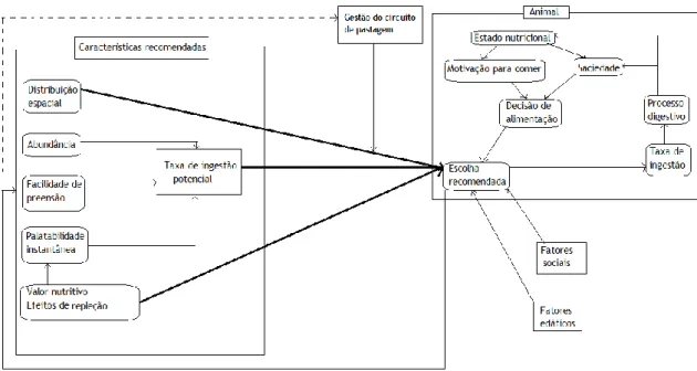 Figura  1:  Representação  de  um  modelo  de  selecção  alimentar  e  comportamento  de  ingestão  por  animais 