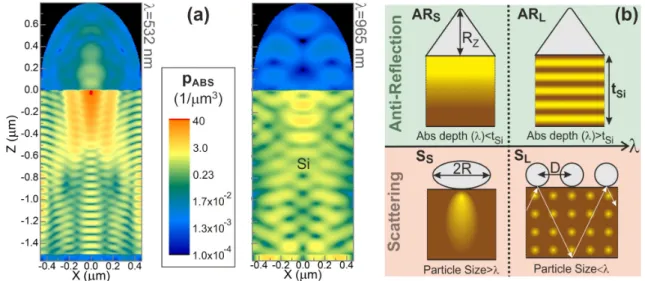 Figure  10  -  a)  Log  scale  profiles  of  the  absorption  density  (p ABS )  along  a  cross  section  of  a  thin film  Si  solar  cell 