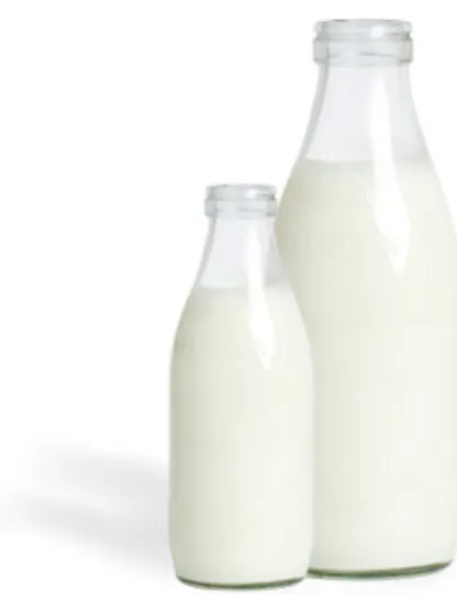Fig. 13 Garrafas de leite Fonte: da autora (2015)