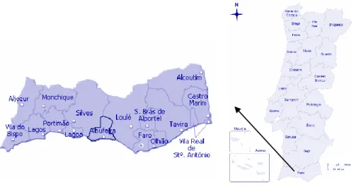 Figure 3 – Detail of the Faro district. The selected region for analysis is surrounded by a dark blue line