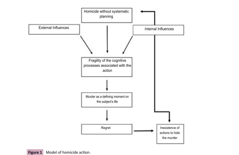 Figure 1 Model of homicide action.