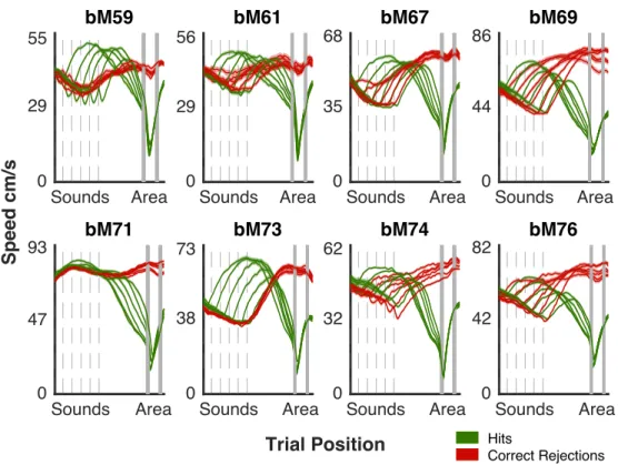 Figure 2.6: Mean Speed Behavior All Animals: Mean speeds of 10 sessions, for all ani- ani-mals, across sound start locations, for hit and correct rejection trials