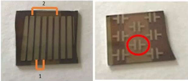 Figure 13 - On the left side vertical stripes design with two distance marked corresponding to the electrodes  used during the electrical characterization