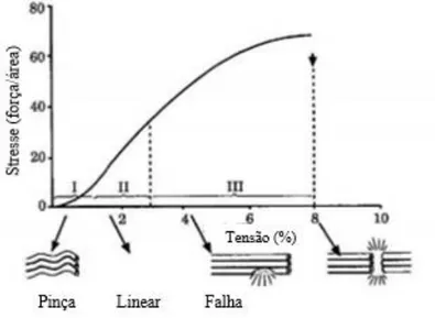 Gráfico 1- Curva de tensão-deformação do tendão (adaptado de Sharma e Maffulli, 2005) 