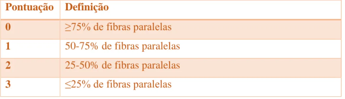 Tabela  2-  Sistema  de  pontuação  do  alinhamento  das  fibras  (adaptado  de  Rantanen  et  al.,  2011)  Pontuação  Definição  0  ≥75% de fibras paralelas  1  50-75% de fibras paralelas   2  25-50% de fibras paralelas  3  ≤25% de fibras paralelas 