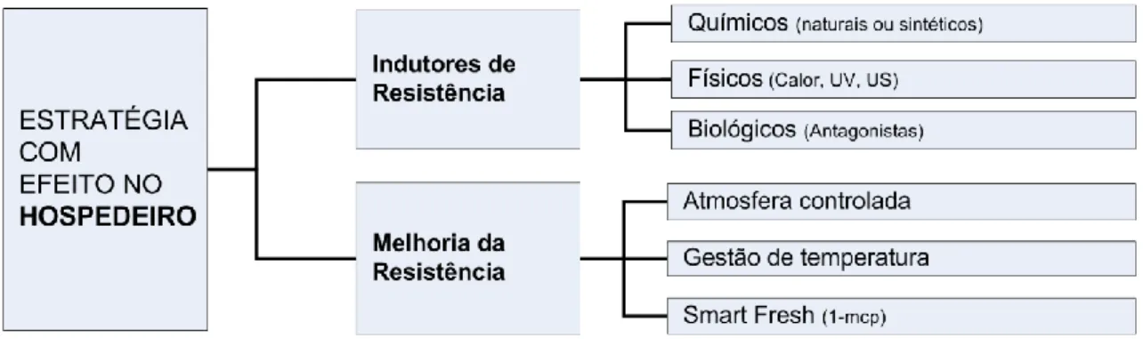 Figura 4 - Principais estratégias com efeito nos frutos para controlo das podridões de pós-colheita