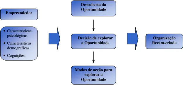 Figura 2: O fenómeno do empreendedorismo. Baseado em Shook, Priem &amp; McGee (2003).  