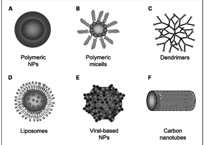 Figura 1.4 Alguns tipos de nanopartículas.  