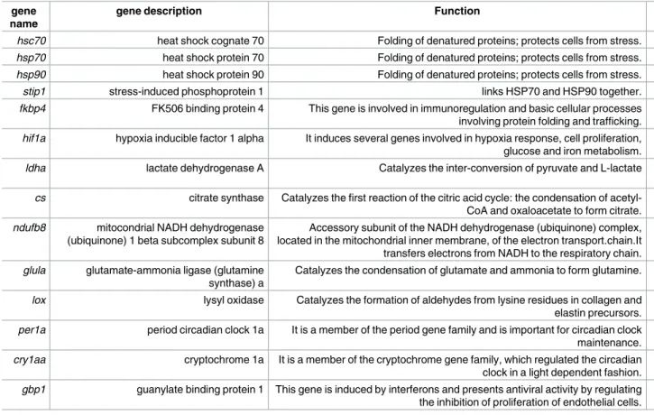 Table 2. List of target genes, with their official gene names, gene descriptions and functional category.