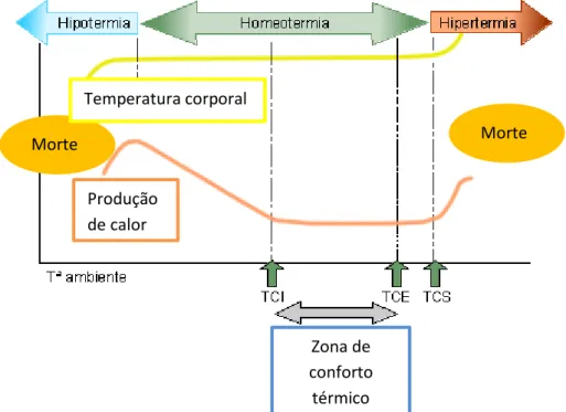 Figura 3 - Representação gráfica da zona de conforto térmico dos leitões  (Adaptado de Collell, 2008)