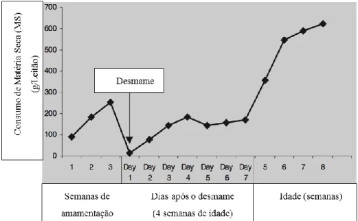 Figura 4 - Padrão de ingestão alimentar de leitões desmamados com 21 dias  de idade (Adaptado de Brooks &amp; Tsourgiannis, 2003)