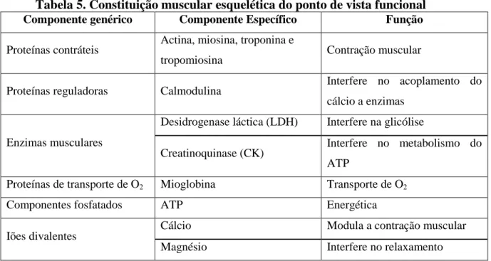 Tabela 5. Constituição muscular esquelética do ponto de vista funcional  Componente genérico  Componente Específico  Função 