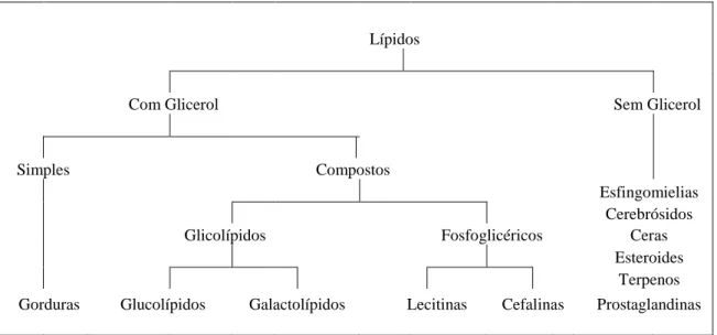 Figura 3. Classificação dos lípidos  