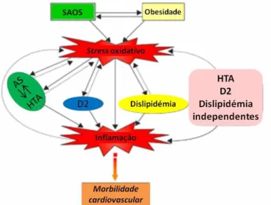 Fig. 1 Ilustração esquemática sugestiva do papel central do stress  oxidativo e inflamação na SAOS e desenvolvimento de condições  e  comorbidades  associadas