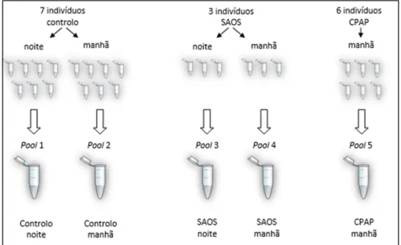 Fig. 8 Elaboração das pools de plasma em estudo.