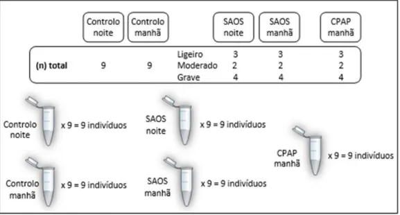 Fig. 9 Amostras individuais em estudo.