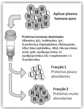 Fig. 10 Esquema simplificado do que ocorre no  processo de depleção de plasma. 