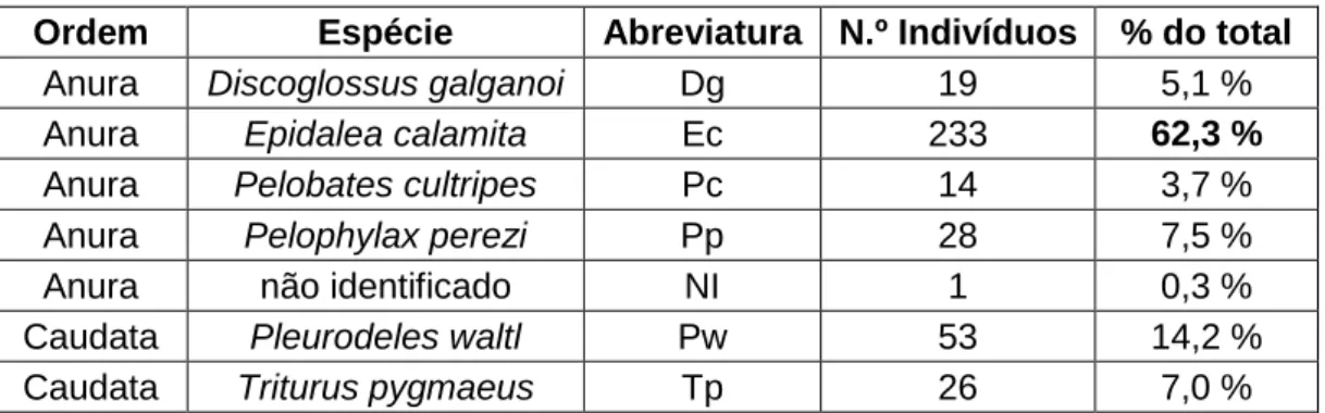 Tabela II – Número de indivíduos de cada espécie identificados na área de estudo (troço da Estrada  Municipal 529) entre outubro de 2018 e abril de 2019
