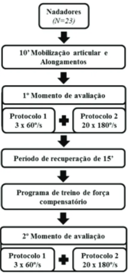 Figura 1. Protocolo de avaliação utilizado na avaliação dos musculos rotadores dos  ombros