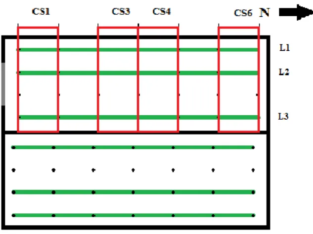 Figura  6  -  Esquema  da  parcela  de  mirtilo  com  os  conjuntos  de  secções  CS1,  CS4,  CS6,  CS8 e CS11 marcados com rectângulos vermelhos