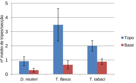 Figura  10  – Número médio de indivíduos Drepanothrips reuteri Uzel, Thrips flavus Schrank  e Thrips tabaci Lindeman por secção da cultura de amora, e respectivo erro padrão, no topo  e base da mesma, de 24 Março a 2 de Junho de 2011