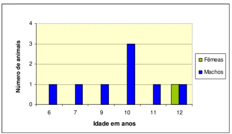 Gráfico 1 – Distribuição da população por sexo e idade  