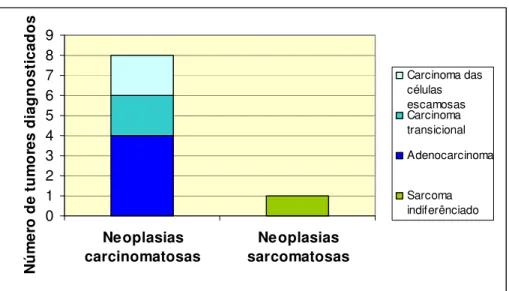Gráfico 5 – Distribuição por tipo histológico de tumor 