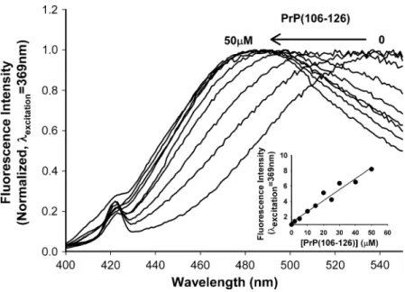 FIGURE 2 Aggregation of PrP(106-126) evaluated by ANS fluorescence properties. The effect of peptide  con-centration in 12.5 mM ANS fluorescence emission spectrum (l excitation ¼ 369 nm, pH 7.4, 150 mM NaCl)