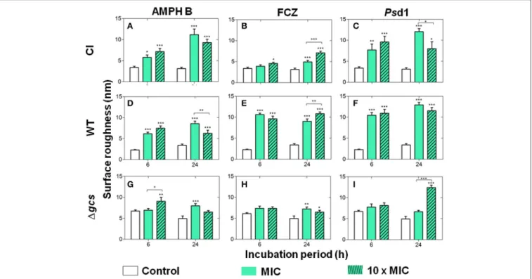 FIGURE 2 | Cell roughness (RMS) measurements after incubation of the clinical isolate (A–C), wild type (D–F) and 1 gcs (G–I) C