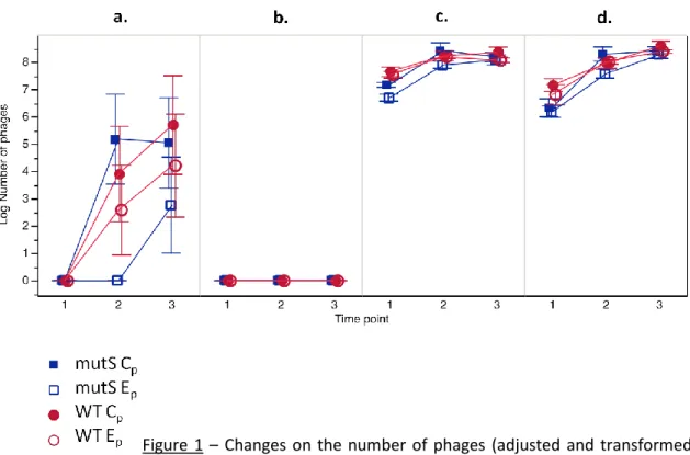 Figure  1  –  Changes  on the  number of  phages  (adjusted  and  transformed  data) on each population (mutS C p , mutS E p , WT C p , WT E p ), per time point (1 = t1; 2 = t4; 3 =  t8), on each type of bacterial lawn –  a