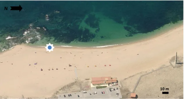 Fig. 8 – Vista aérea parcial da praia da Memória encontrando-se assinalado o local onde foram realizadas as colheitas  (fonte: Bingmaps)