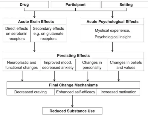 Figura 4 – Possíveis mecanismos de ação da terapia assistida por alucinogénios para o tratamento das  dependências