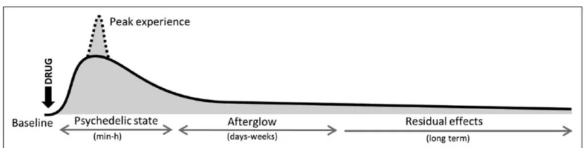 Figura 5 – Curso de tempo das experiências subjetivas induzidas por alucinogénios. Fonte: adaptado de  Majic et al., 2015