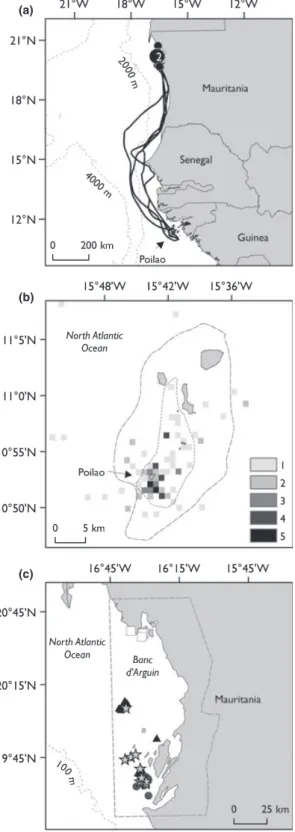 Fig. 1. Insights from satellite tracking. (a) Post-nesting movements of four turtles tracked to their foraging sites in Mauritania