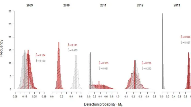 Figure 9 - Detection probability’s posterior distributions and respective estimated means (red and grey vertical lines) under  model  M b ,  within  each  year