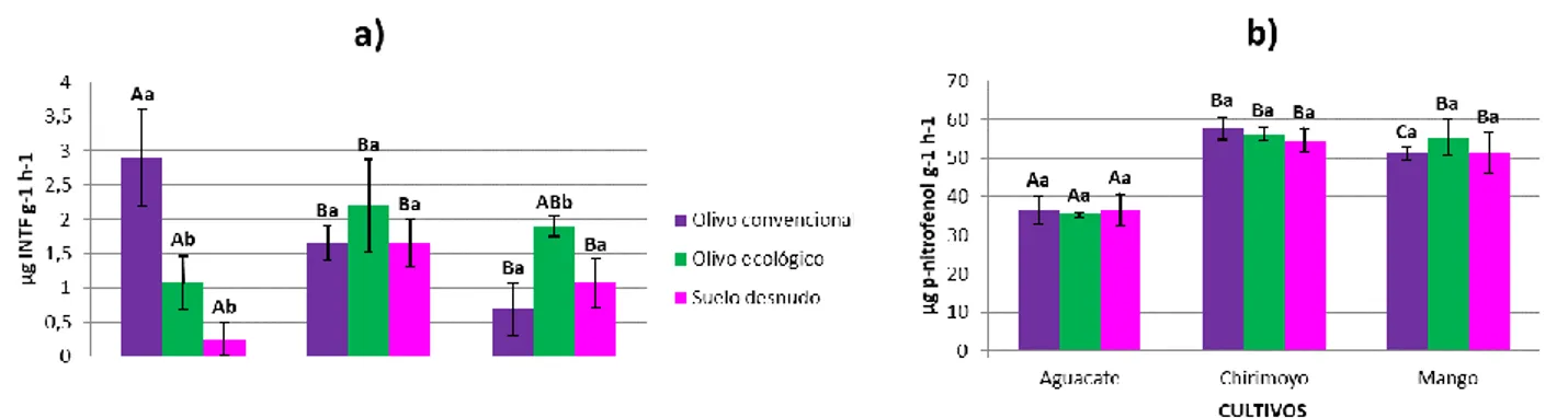 Figura 1. Actividades enzimáticas deshidrogenasa (a) y glucosidasa (b) para los restos de poda aplicados en cada uno de los cultivos