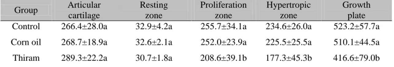 Table 2. Articular cartilage and growth plate height (m, mean ± SD) of male Wistar rats  Group  Articular  cartilage  Resting  zone  Proliferation zone   Hypertropic zone  Growth  plate  Control   266.4±28.0a  32.9±4.2a  255.7±34.1a  234.6±26.0a  523.2±57