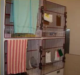 Figure 4 - Double sided-cages for cats; it is also an example of a double-decker (Jones, 2007)