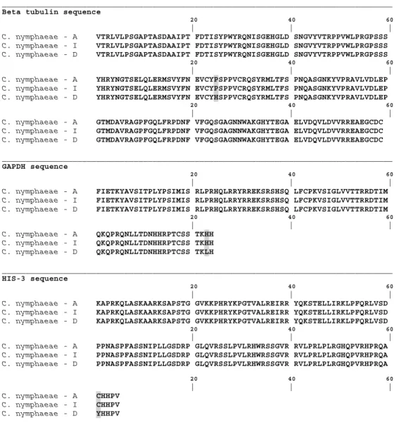 Figure 3. Multiple sequence alignment of the partial Beta tubulin, GAPDH and HIS-3 genes from: C